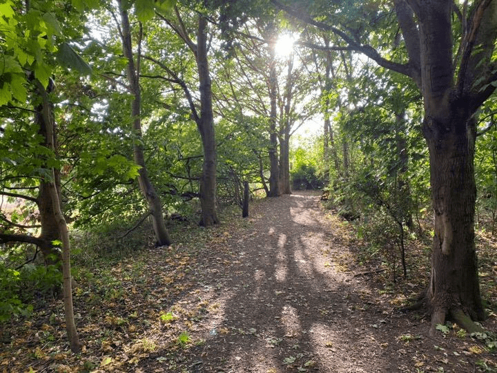 Come and learn about nature at Cotgrave Country Park Nottingham Local
