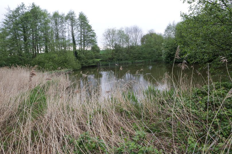 Lambley Reed Pond a community comes together to take the Plunge Nottingham Local News
